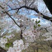 ヒメ日記 2025/05/04 10:02 投稿 瑠衣（ルイ） アバンチュール(五反田)