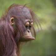 ヒメ日記 2025/05/07 19:32 投稿 瑠衣（ルイ） アバンチュール(五反田)