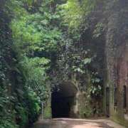 ヒメ日記 2025/05/14 09:46 投稿 瑠衣（ルイ） アバンチュール(五反田)