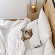 ヒメ日記 2025/05/16 15:46 投稿 瑠衣（ルイ） アバンチュール(五反田)