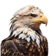 ヒメ日記 2025/05/16 21:46 投稿 瑠衣（ルイ） アバンチュール(五反田)