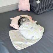 ヒメ日記 2025/05/17 15:46 投稿 瑠衣（ルイ） アバンチュール(五反田)