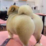 ヒメ日記 2025/05/18 21:31 投稿 瑠衣（ルイ） アバンチュール(五反田)