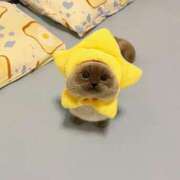 ヒメ日記 2025/05/20 18:01 投稿 瑠衣（ルイ） アバンチュール(五反田)