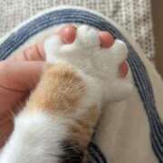 ヒメ日記 2025/05/26 13:31 投稿 瑠衣（ルイ） アバンチュール(五反田)