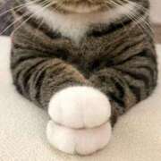 ヒメ日記 2025/06/02 15:46 投稿 瑠衣（ルイ） アバンチュール(五反田)