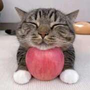 ヒメ日記 2025/06/08 10:46 投稿 瑠衣（ルイ） アバンチュール(五反田)