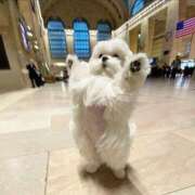 ヒメ日記 2025/06/09 10:02 投稿 瑠衣（ルイ） アバンチュール(五反田)