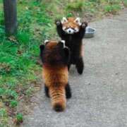 ヒメ日記 2025/06/18 17:31 投稿 瑠衣（ルイ） アバンチュール(五反田)