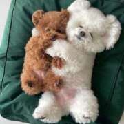 ヒメ日記 2025/06/19 23:31 投稿 瑠衣（ルイ） アバンチュール(五反田)