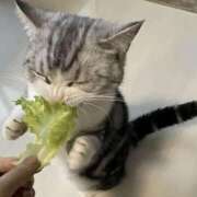 ヒメ日記 2025/06/22 15:32 投稿 瑠衣（ルイ） アバンチュール(五反田)