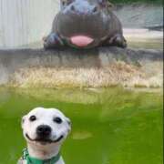 ヒメ日記 2025/06/23 12:01 投稿 瑠衣（ルイ） アバンチュール(五反田)