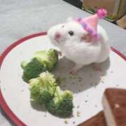 ヒメ日記 2025/06/24 12:01 投稿 瑠衣（ルイ） アバンチュール(五反田)