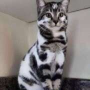 ヒメ日記 2025/06/27 16:16 投稿 瑠衣（ルイ） アバンチュール(五反田)