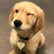 ヒメ日記 2025/06/28 10:16 投稿 瑠衣（ルイ） アバンチュール(五反田)