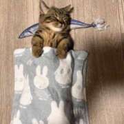 ヒメ日記 2025/06/29 20:16 投稿 瑠衣（ルイ） アバンチュール(五反田)