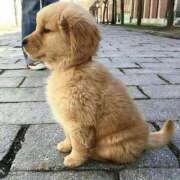 ヒメ日記 2025/06/30 18:16 投稿 瑠衣（ルイ） アバンチュール(五反田)