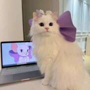 ヒメ日記 2025/07/01 22:31 投稿 瑠衣（ルイ） アバンチュール(五反田)