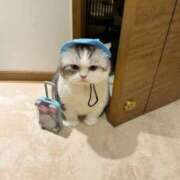 ヒメ日記 2025/07/06 01:01 投稿 瑠衣（ルイ） アバンチュール(五反田)