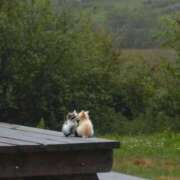 ヒメ日記 2025/07/08 10:16 投稿 瑠衣（ルイ） アバンチュール(五反田)