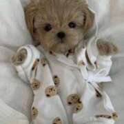 ヒメ日記 2025/07/09 23:16 投稿 瑠衣（ルイ） アバンチュール(五反田)