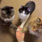 ヒメ日記 2025/07/13 13:31 投稿 瑠衣（ルイ） アバンチュール(五反田)