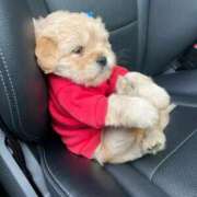 ヒメ日記 2025/07/14 14:31 投稿 瑠衣（ルイ） アバンチュール(五反田)