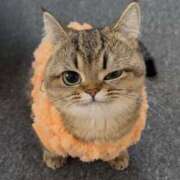 ヒメ日記 2025/07/17 17:46 投稿 瑠衣（ルイ） アバンチュール(五反田)