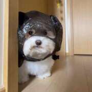 ヒメ日記 2025/07/18 16:46 投稿 瑠衣（ルイ） アバンチュール(五反田)