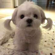 ヒメ日記 2025/07/21 13:01 投稿 瑠衣（ルイ） アバンチュール(五反田)