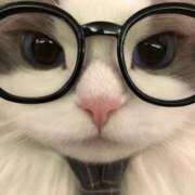 ヒメ日記 2025/07/23 11:46 投稿 瑠衣（ルイ） アバンチュール(五反田)