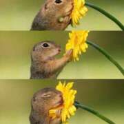 ヒメ日記 2025/07/24 17:01 投稿 瑠衣（ルイ） アバンチュール(五反田)