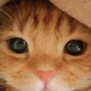 ヒメ日記 2025/07/24 23:31 投稿 瑠衣（ルイ） アバンチュール(五反田)