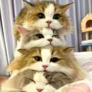 ヒメ日記 2025/07/25 19:31 投稿 瑠衣（ルイ） アバンチュール(五反田)