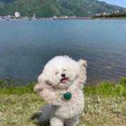 ヒメ日記 2025/07/27 21:46 投稿 瑠衣（ルイ） アバンチュール(五反田)