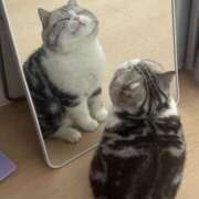 ヒメ日記 2025/07/29 15:01 投稿 瑠衣（ルイ） アバンチュール(五反田)