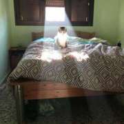 ヒメ日記 2025/07/29 22:31 投稿 瑠衣（ルイ） アバンチュール(五反田)