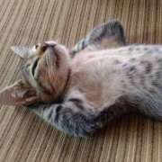 ヒメ日記 2025/08/01 13:01 投稿 瑠衣（ルイ） アバンチュール(五反田)