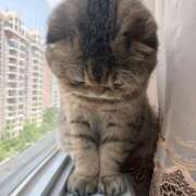 ヒメ日記 2025/08/04 21:46 投稿 瑠衣（ルイ） アバンチュール(五反田)