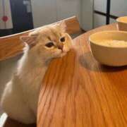 ヒメ日記 2025/08/13 18:17 投稿 瑠衣（ルイ） アバンチュール(五反田)