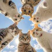 ヒメ日記 2025/08/21 00:01 投稿 瑠衣（ルイ） アバンチュール(五反田)