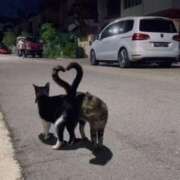 ヒメ日記 2025/08/22 21:16 投稿 瑠衣（ルイ） アバンチュール(五反田)