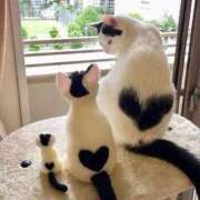 ヒメ日記 2025/08/24 18:31 投稿 瑠衣（ルイ） アバンチュール(五反田)