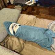 ヒメ日記 2025/08/27 00:31 投稿 瑠衣（ルイ） アバンチュール(五反田)