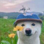 ヒメ日記 2025/08/31 23:31 投稿 瑠衣（ルイ） アバンチュール(五反田)