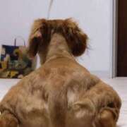 ヒメ日記 2025/09/05 14:01 投稿 瑠衣（ルイ） アバンチュール(五反田)