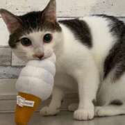 ヒメ日記 2025/09/07 13:31 投稿 瑠衣（ルイ） アバンチュール(五反田)