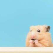 ヒメ日記 2025/09/30 00:31 投稿 瑠衣（ルイ） アバンチュール(五反田)