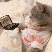 ヒメ日記 2025/10/02 20:46 投稿 瑠衣（ルイ） アバンチュール(五反田)