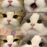 ヒメ日記 2025/10/10 21:46 投稿 瑠衣（ルイ） アバンチュール(五反田)